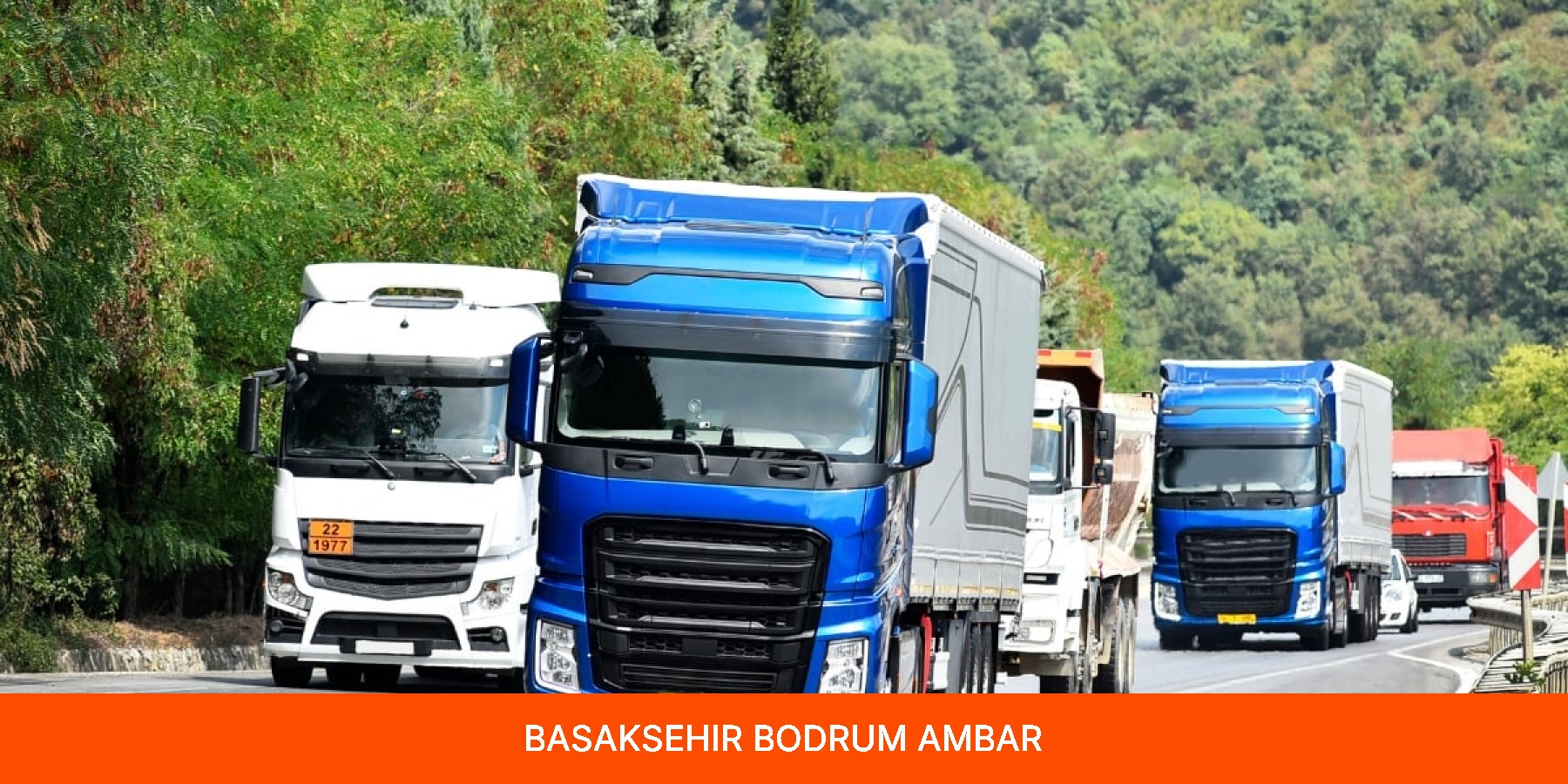 Basaksehir Bodrum Ambar